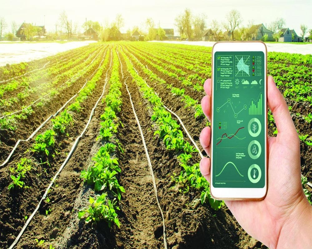 The Necessity of Agriculture Startups in Pakistan