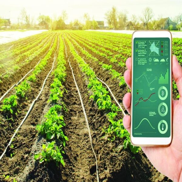 The necessity of Agritech Startups in Pakistan